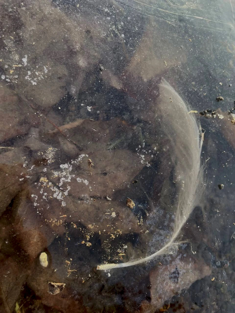 Huch, da wird mir ja ganz Kalt